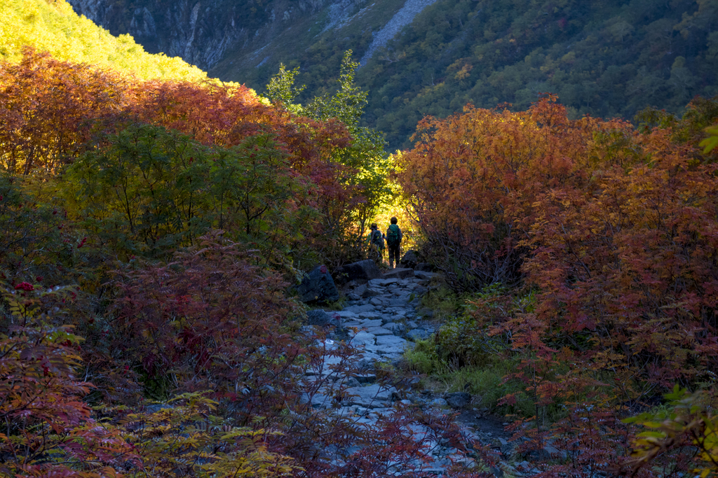 f:id:JKazy:20180929190748j:plain f:id:JKazy:20180929190748j:plain