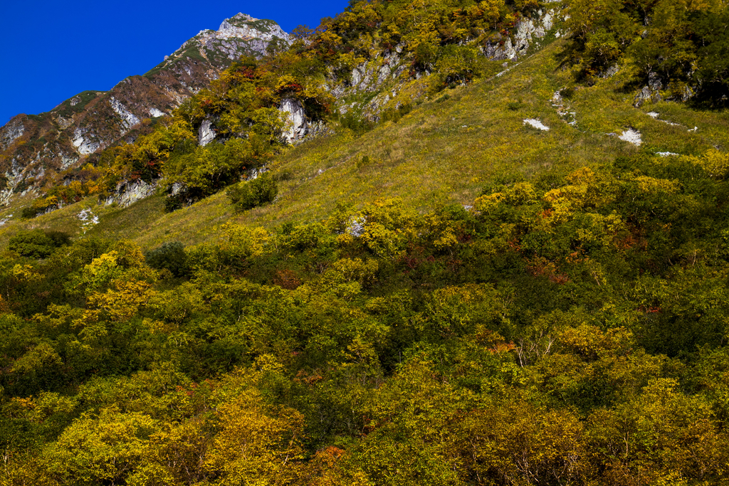 f:id:JKazy:20180929190826j:plain f:id:JKazy:20180929190826j:plain