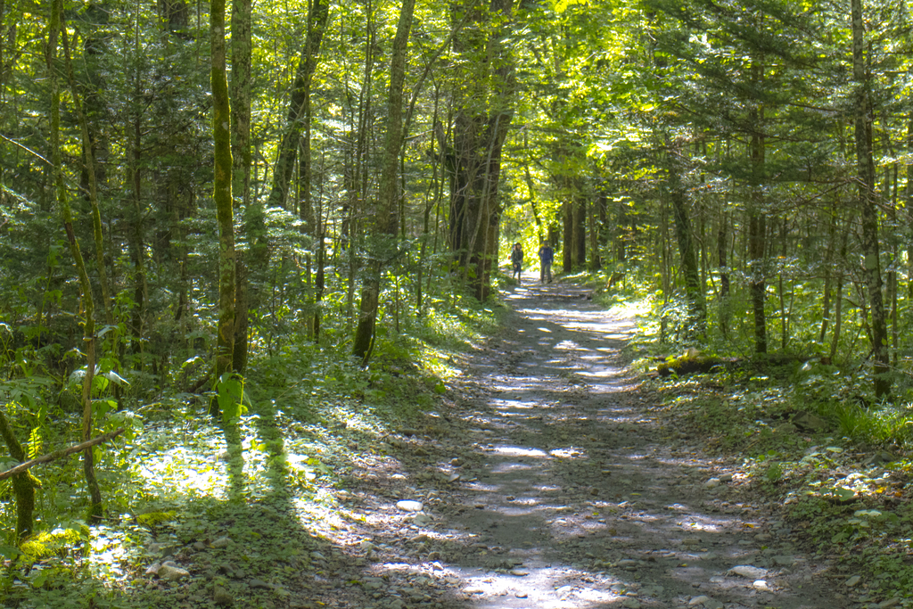 f:id:JKazy:20180929191122j:plain f:id:JKazy:20180929191122j:plain