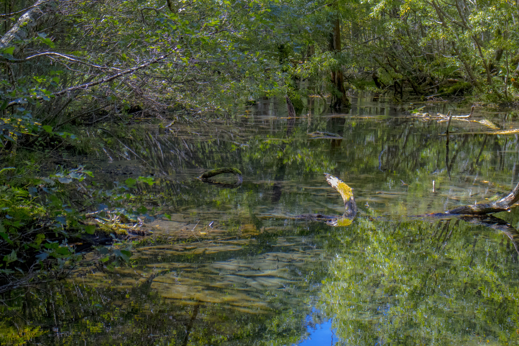 f:id:JKazy:20180929191148j:plain f:id:JKazy:20180929191148j:plain