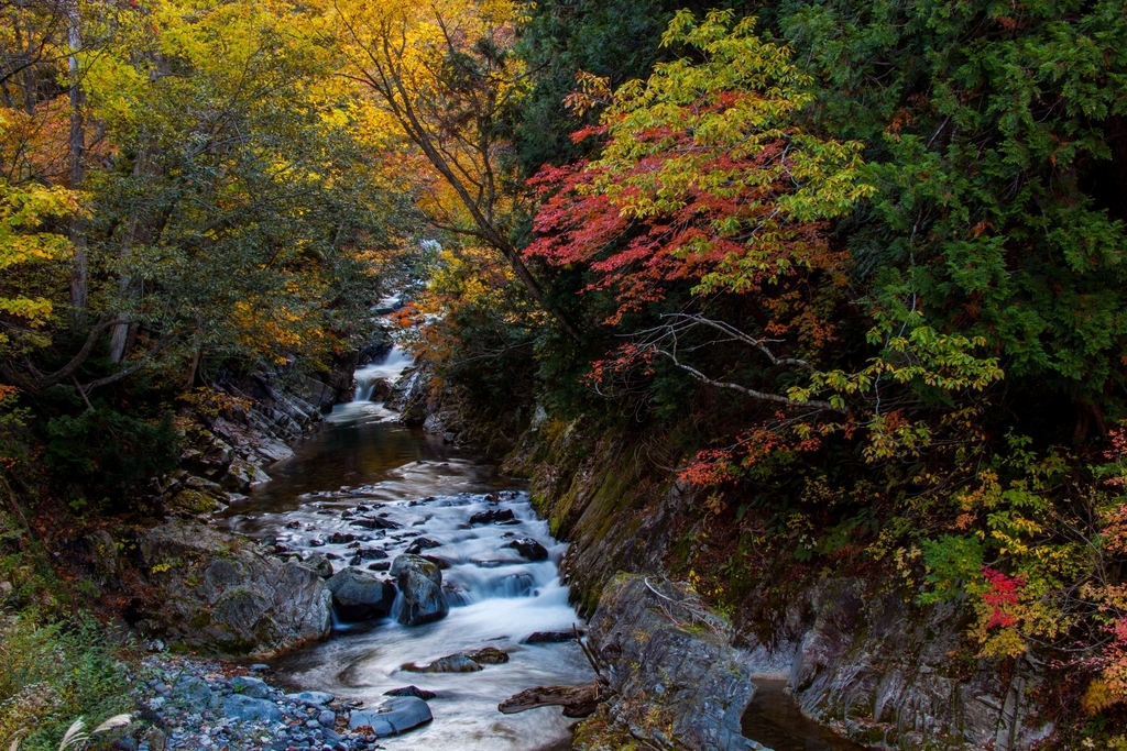 f:id:JKazy:20181021184649j:plain