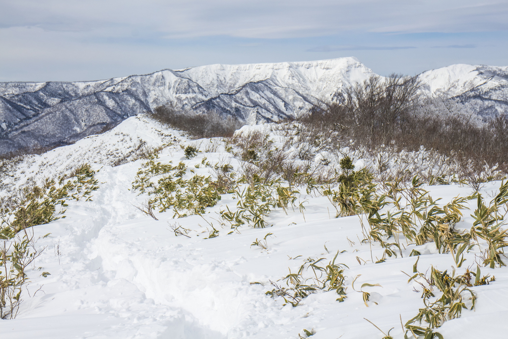 f:id:JKazy:20181216202337j:plain