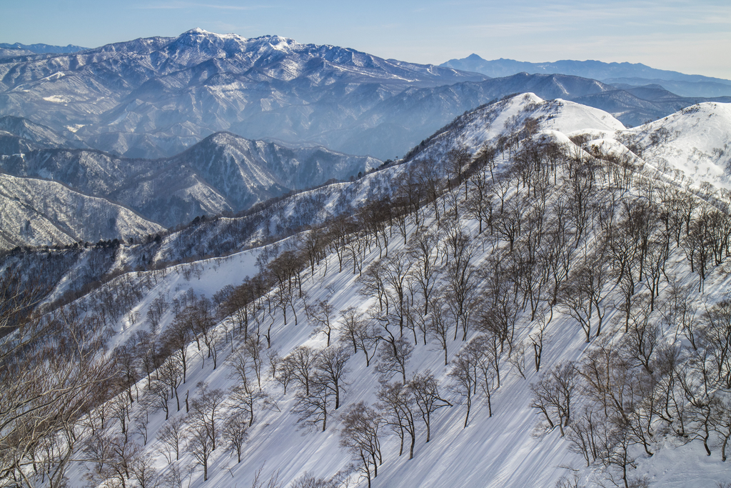f:id:JKazy:20190223201435j:plain