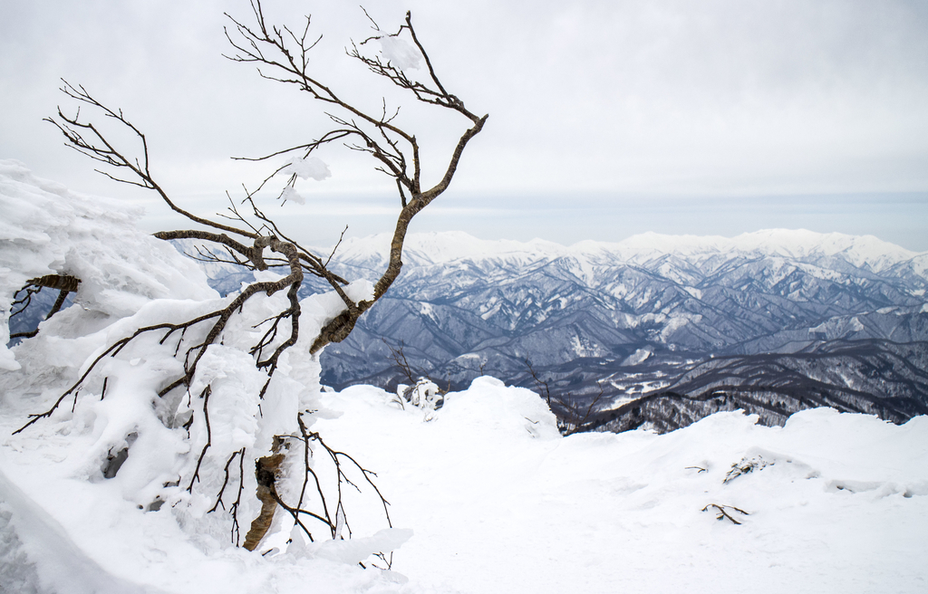 f:id:JKazy:20190228004605j:plain