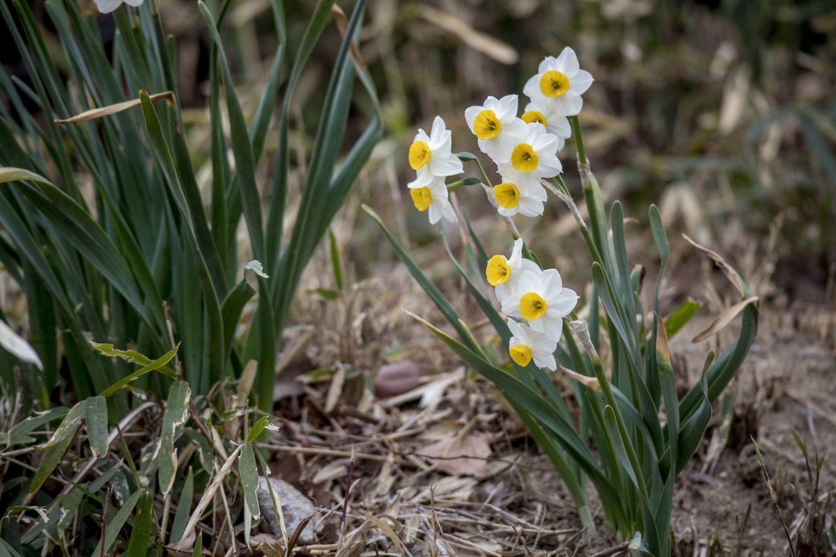 f:id:JKazy:20190324091201j:plain f:id:JKazy:20190324091201j:plain