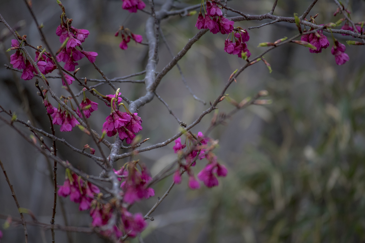 f:id:JKazy:20190324091242j:plain f:id:JKazy:20190324091242j:plain