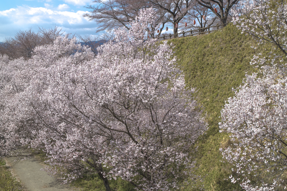 f:id:JKazy:20190404121019j:plain