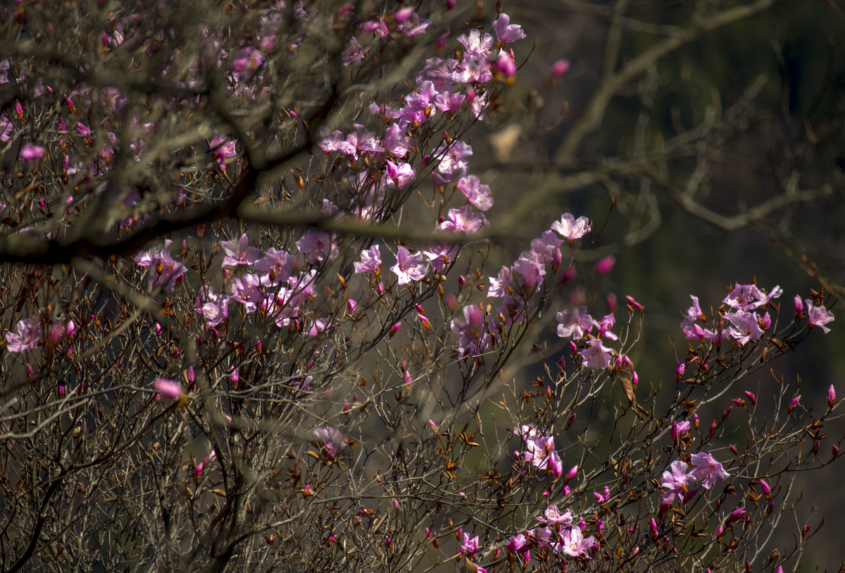 f:id:JKazy:20190421103443j:plain