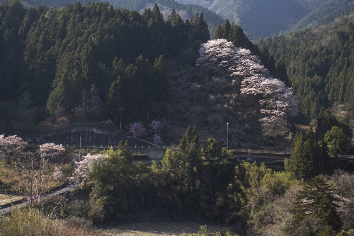 f:id:JKazy:20190421104903j:plain