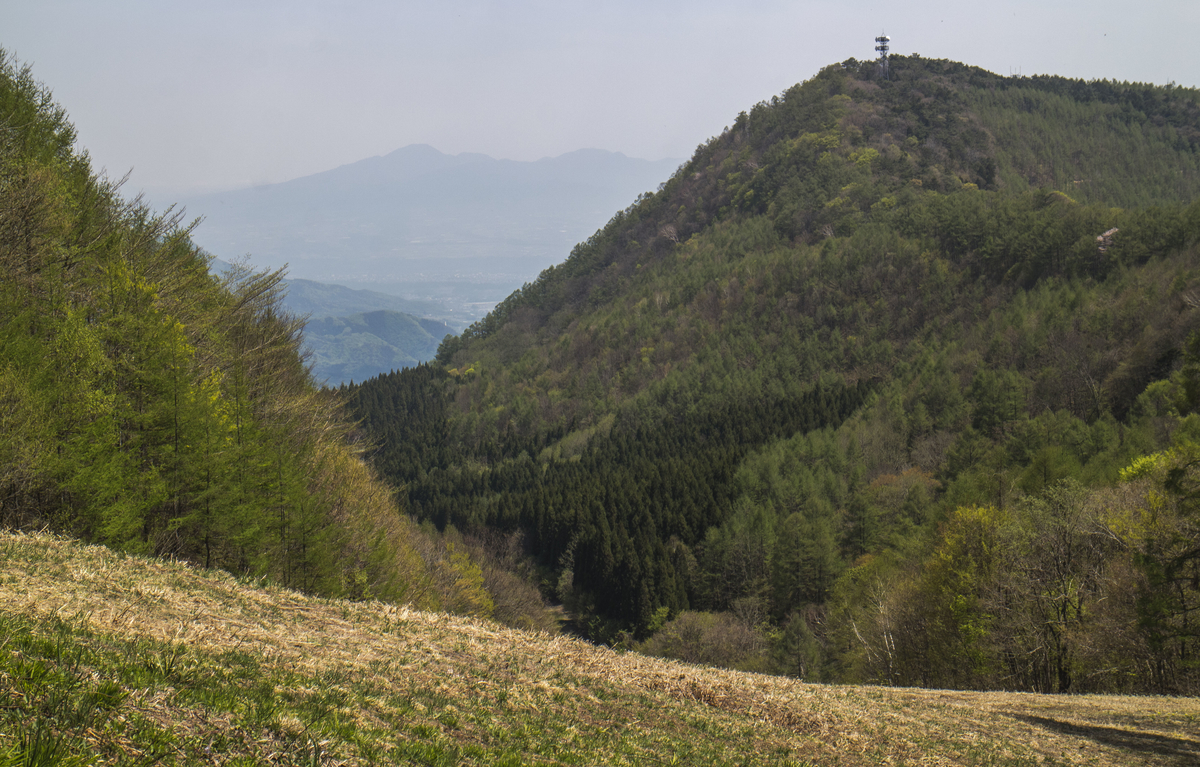 f:id:JKazy:20190512222818j:plain