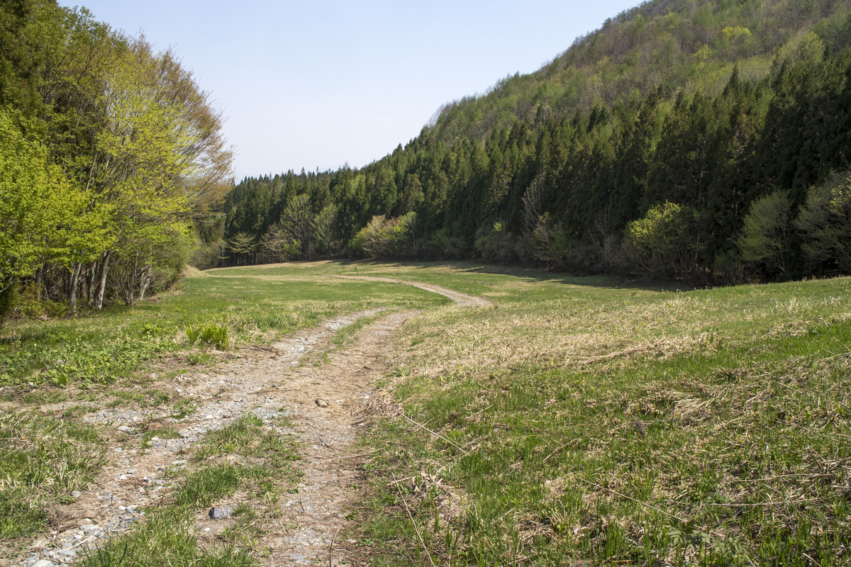 f:id:JKazy:20190512222853j:plain