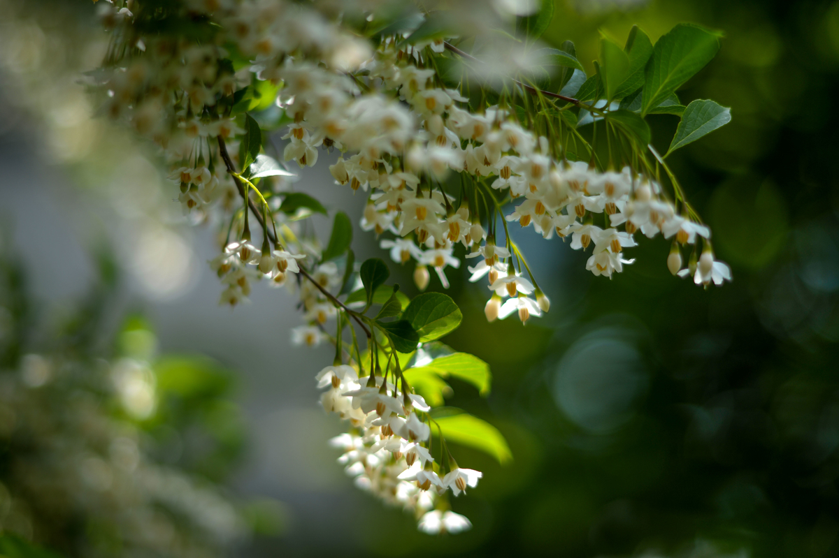 f:id:JKazy:20190516111439j:plain f:id:JKazy:20190516111439j:plain