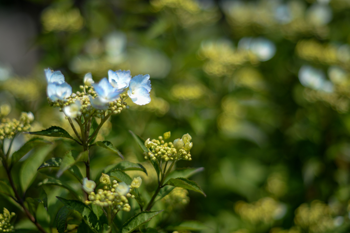 f:id:JKazy:20190516111602j:plain f:id:JKazy:20190516111602j:plain