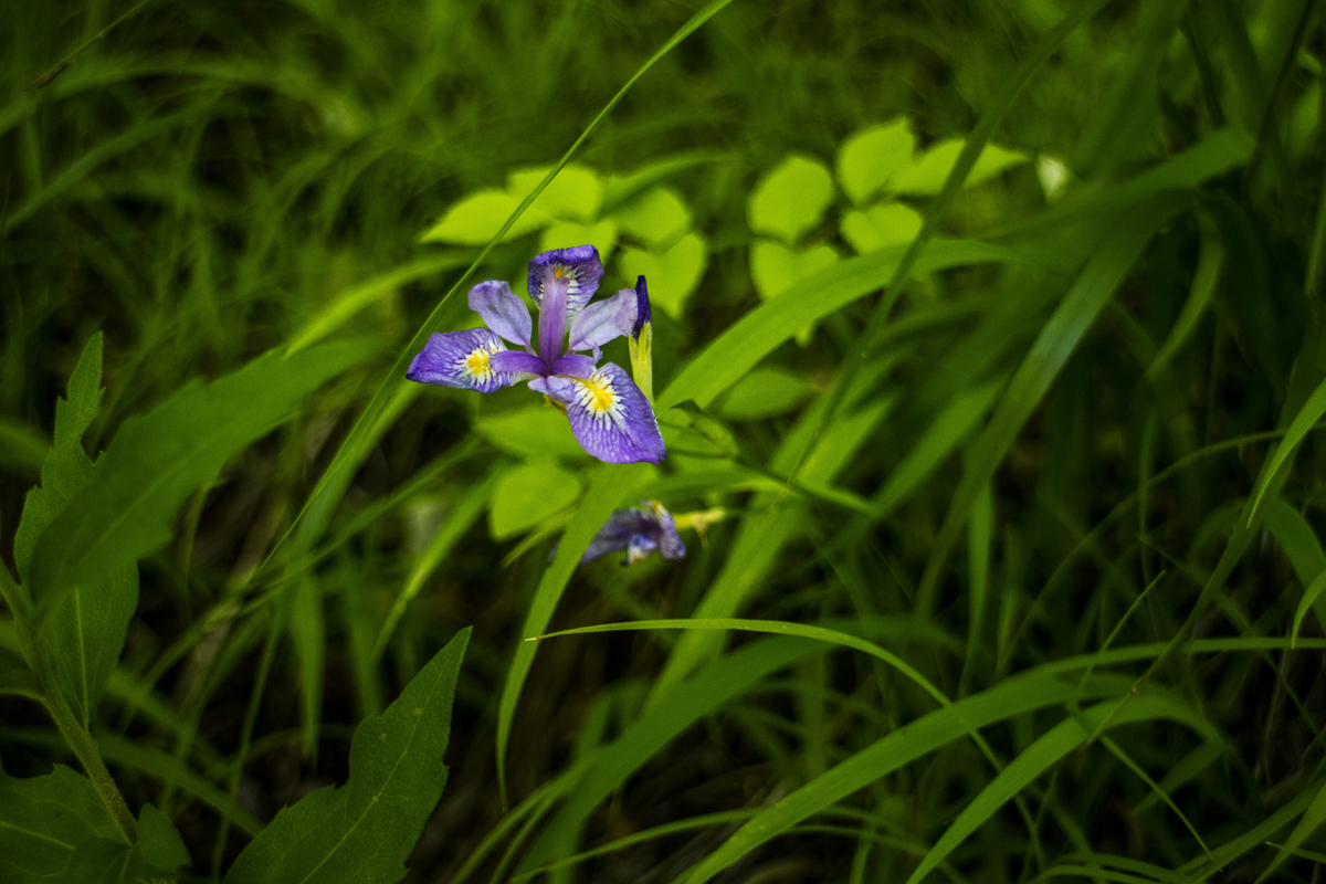 f:id:JKazy:20190614034929j:plain