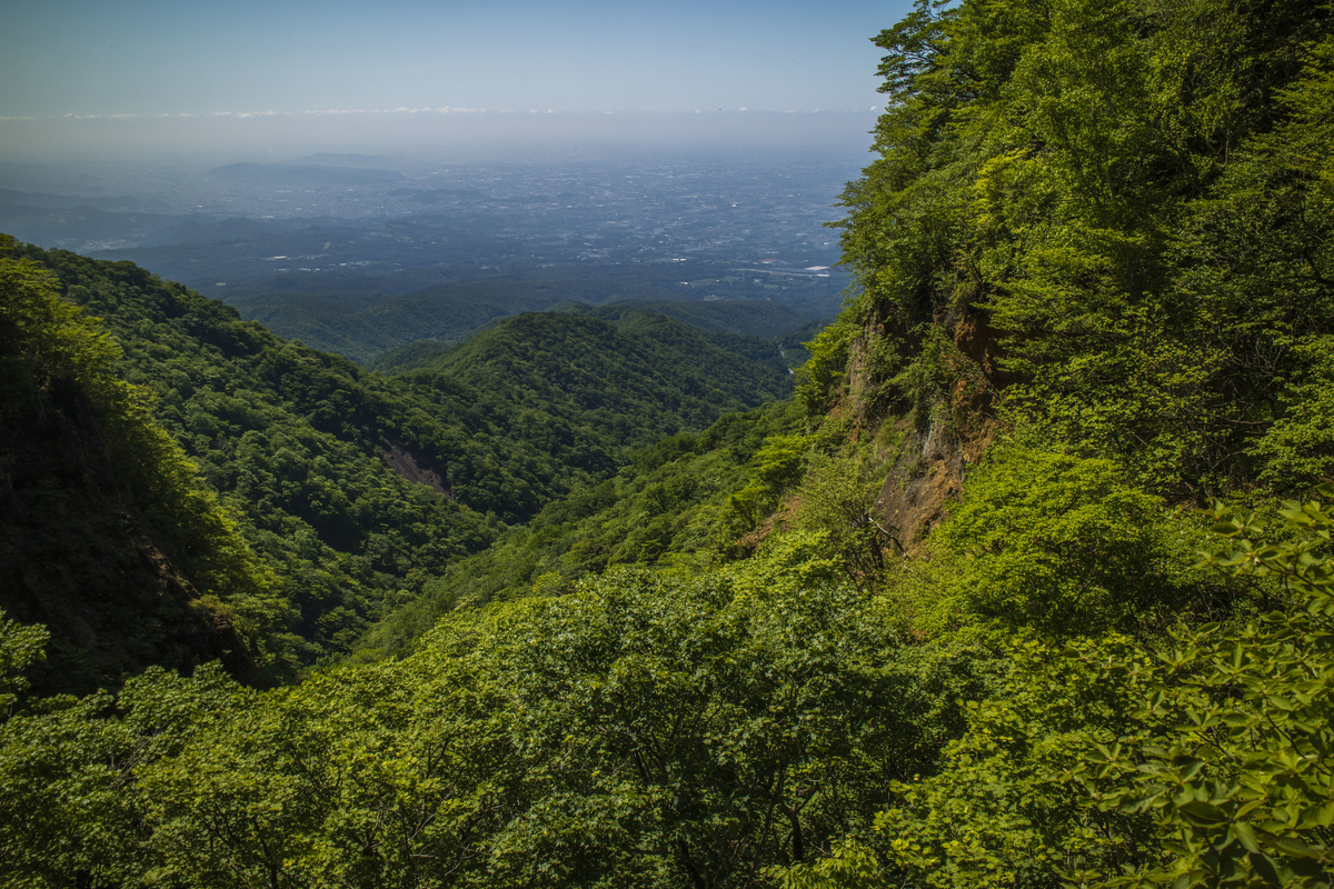 f:id:JKazy:20190614034956j:plain