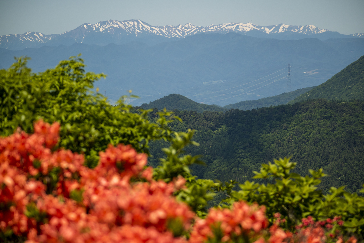 f:id:JKazy:20190614035037j:plain