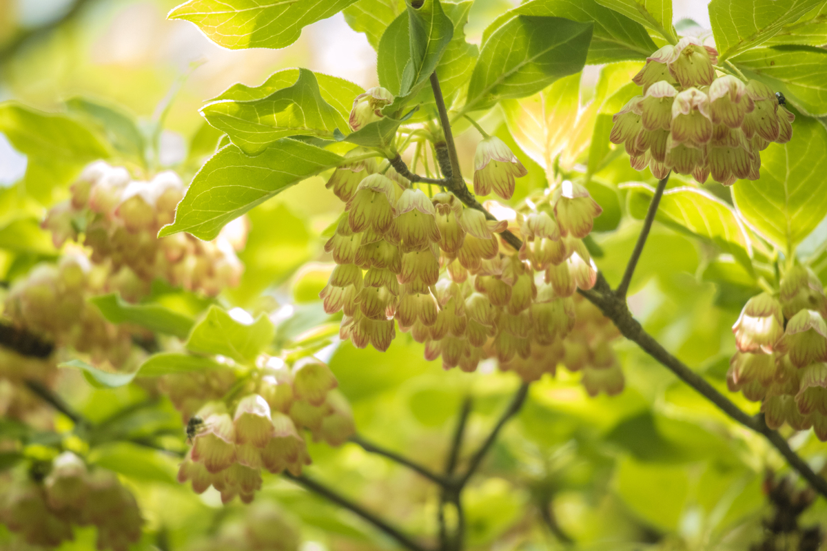f:id:JKazy:20190614035144j:plain