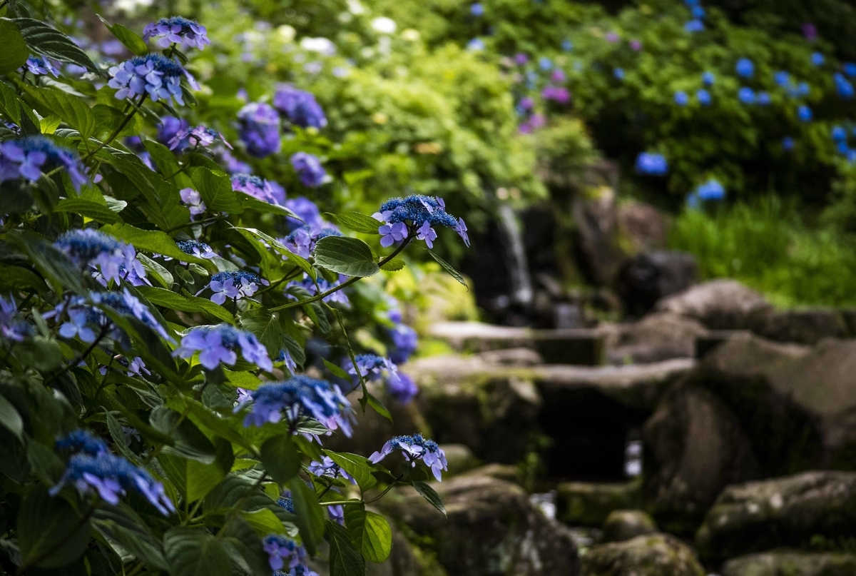 f:id:JKazy:20190629084103j:plain