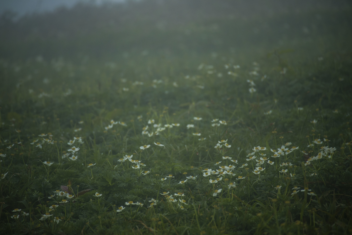 f:id:JKazy:20190708090747j:plain