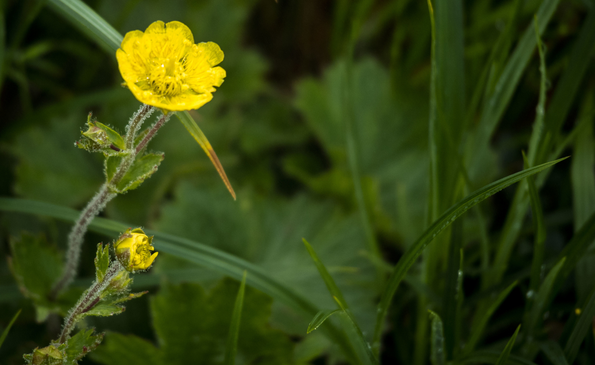 f:id:JKazy:20190708090828j:plain