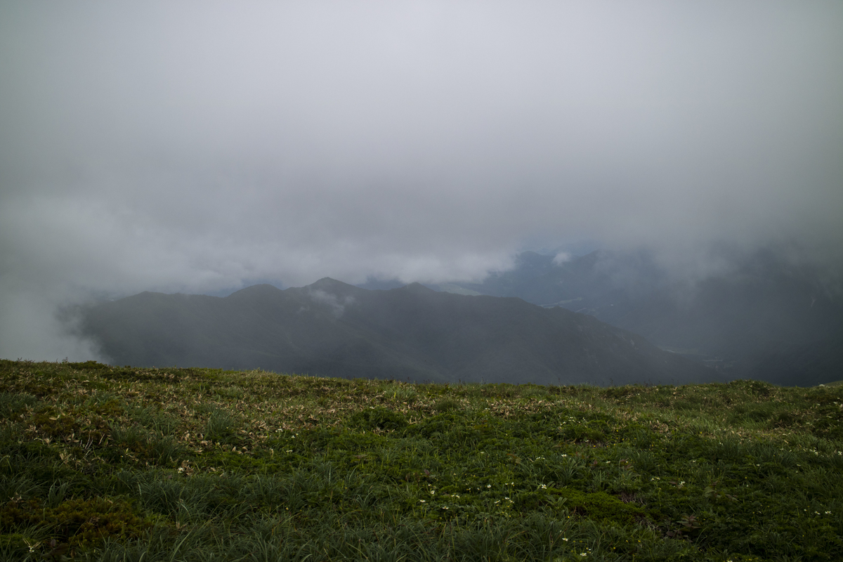 f:id:JKazy:20190708090931j:plain