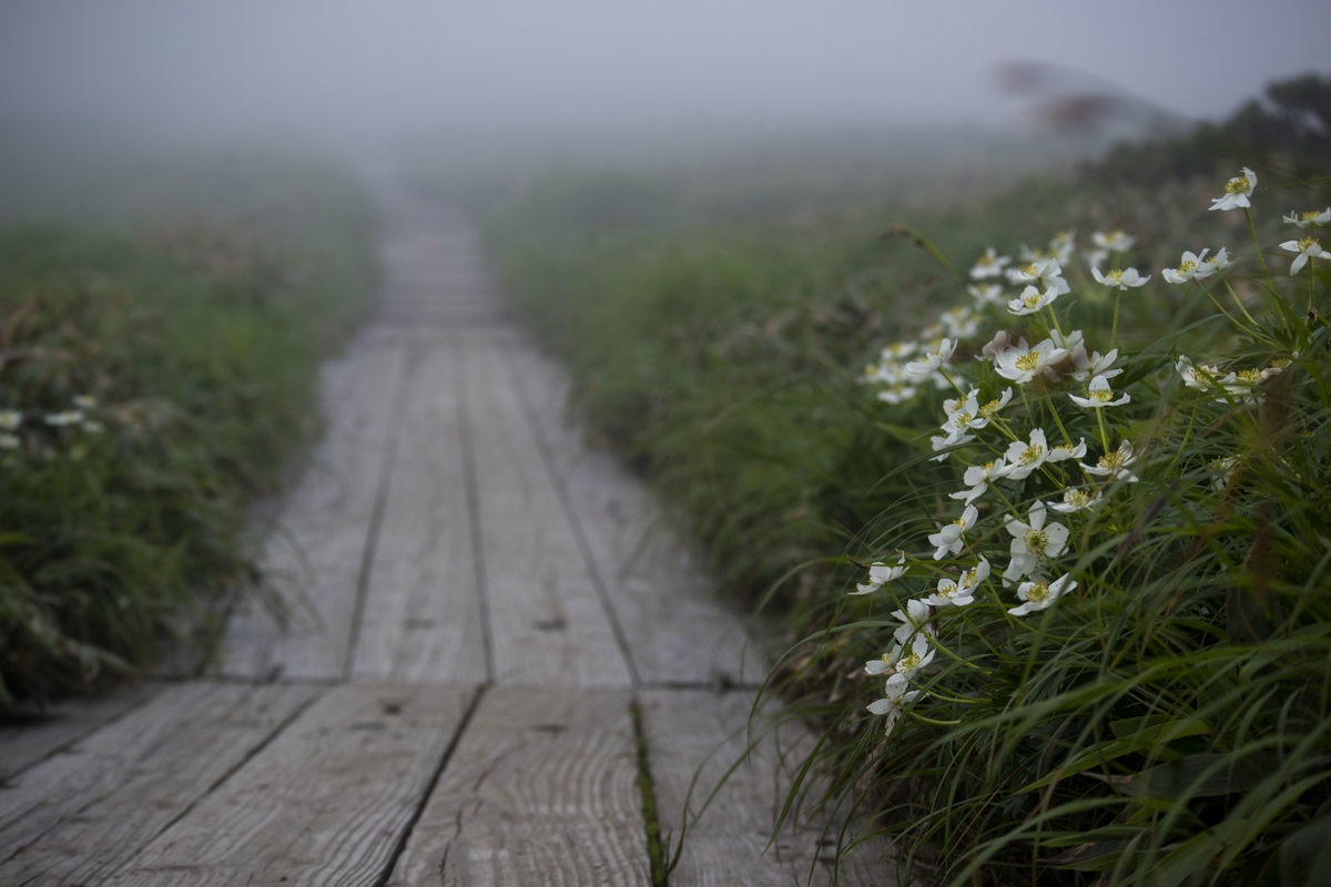 f:id:JKazy:20190708091418j:plain