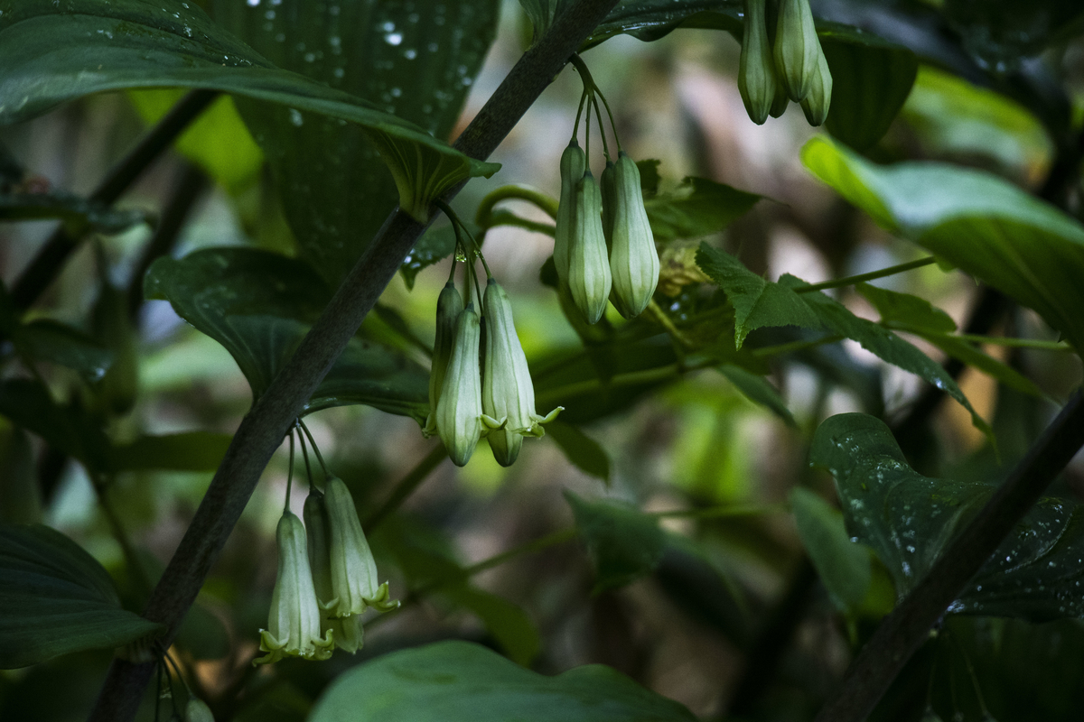 f:id:JKazy:20190708092038j:plain