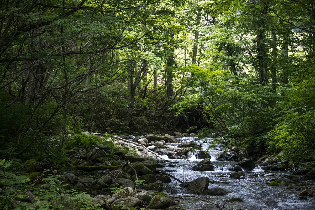 f:id:JKazy:20190708092553j:plain