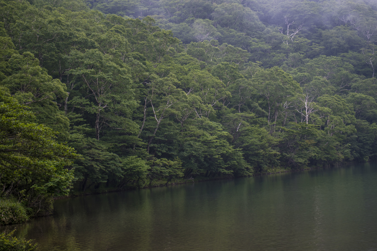 f:id:JKazy:20190717191201j:plain