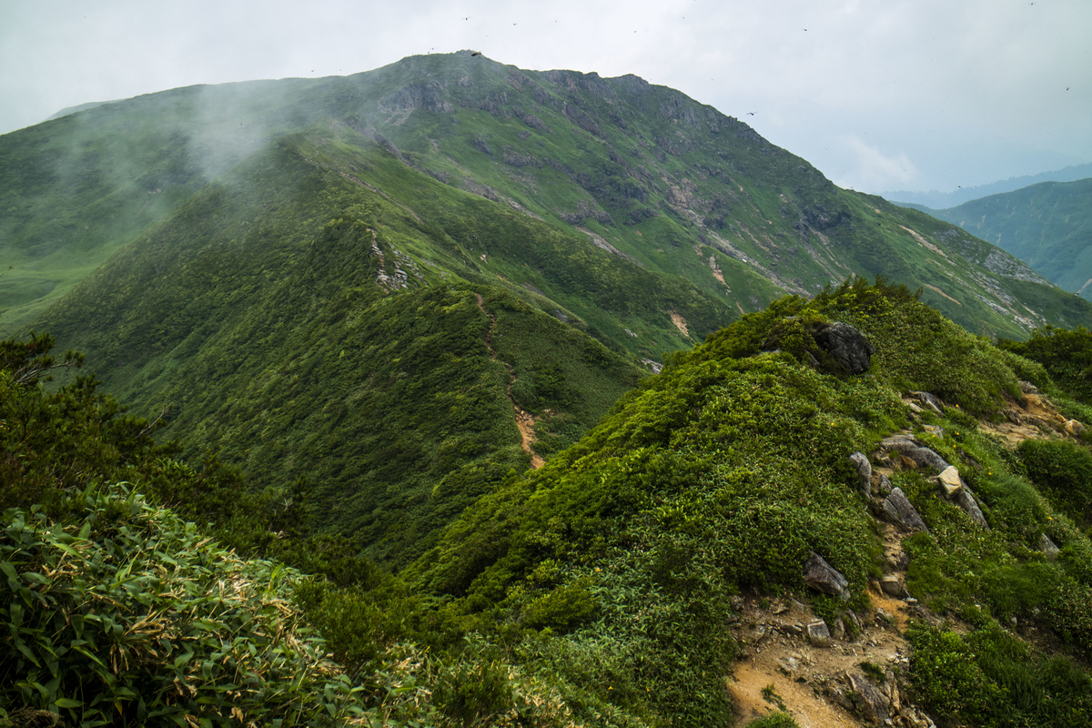 f:id:JKazy:20190731225056j:plain f:id:JKazy:20190731225056j:plain