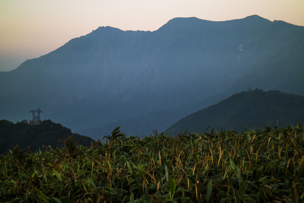 f:id:JKazy:20190801162600j:plain