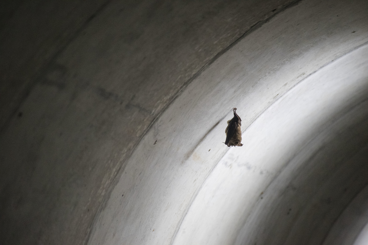 f:id:JKazy:20190816155455j:plain f:id:JKazy:20190816155455j:plain