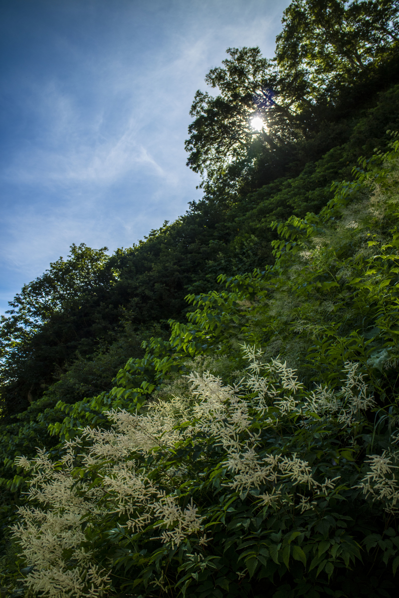 f:id:JKazy:20190816161948j:plain f:id:JKazy:20190816161948j:plain