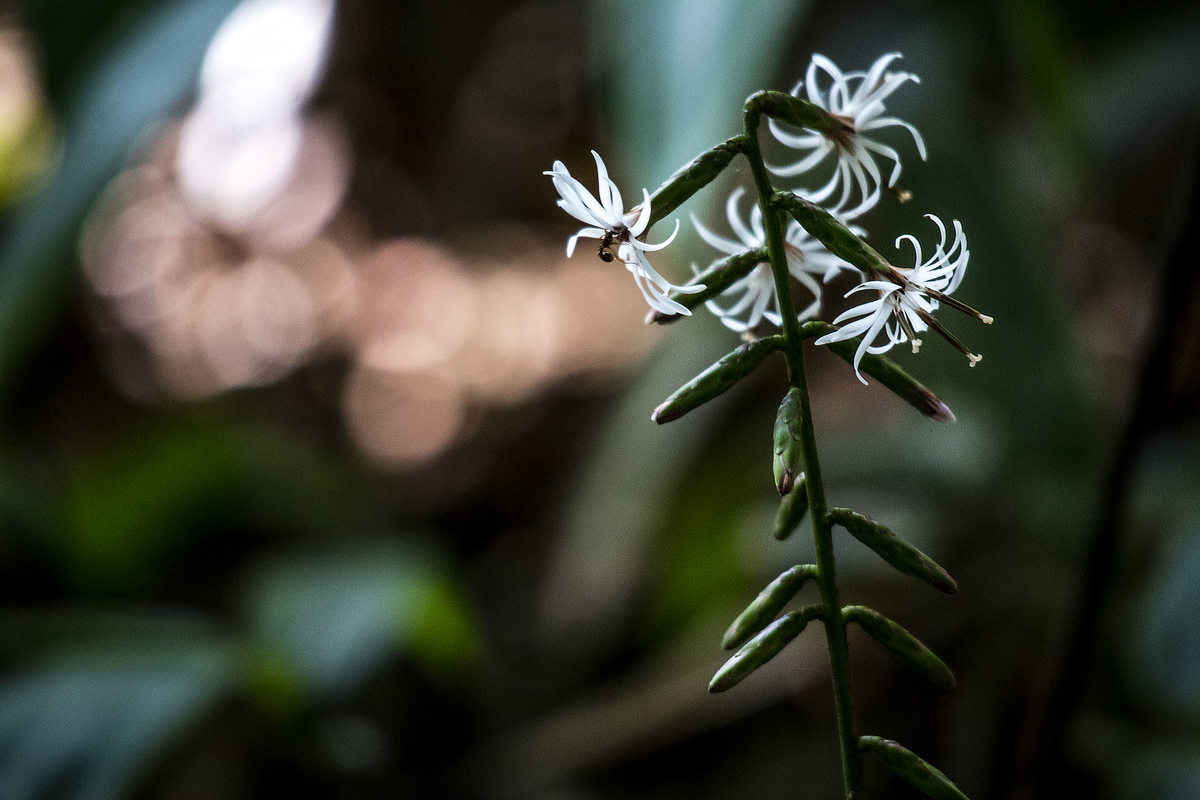 f:id:JKazy:20190825213625j:plain
