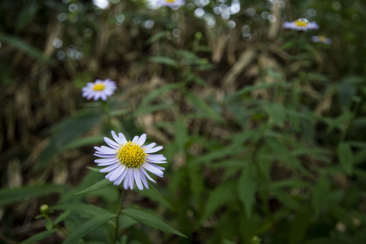 f:id:JKazy:20190825214719j:plain