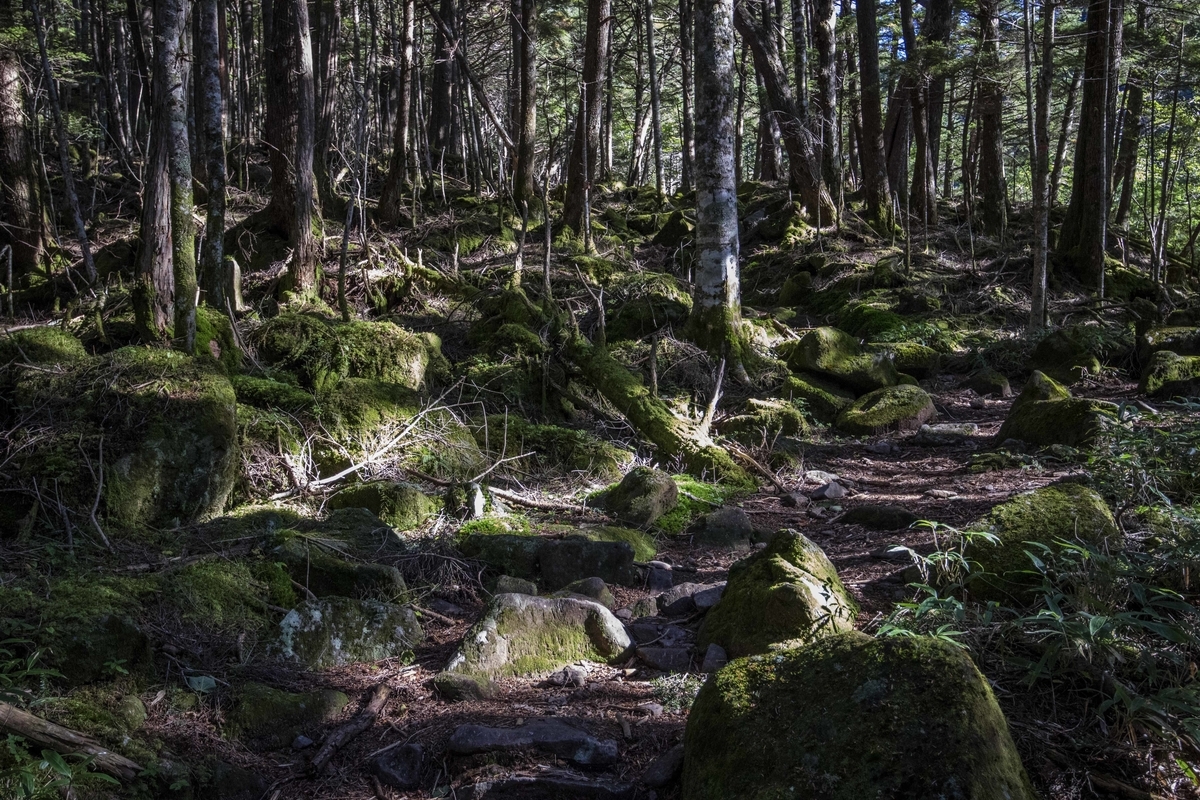 f:id:JKazy:20190927221750j:plain f:id:JKazy:20190927221750j:plain