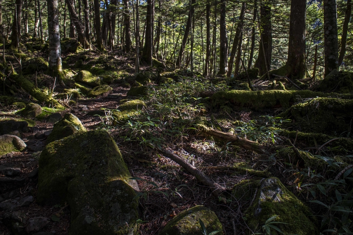 f:id:JKazy:20190927221822j:plain f:id:JKazy:20190927221822j:plain