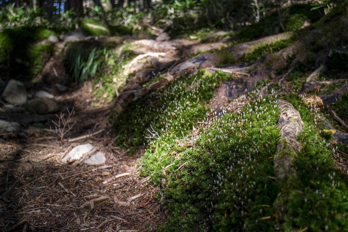 f:id:JKazy:20190927221904j:plain f:id:JKazy:20190927221904j:plain