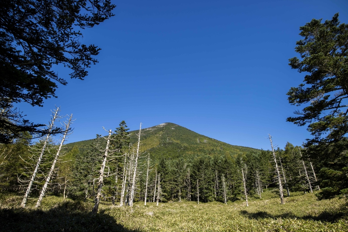 f:id:JKazy:20190927222029j:plain f:id:JKazy:20190927222029j:plain