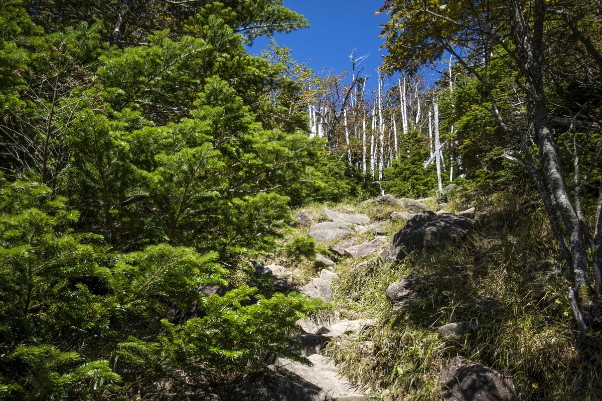 f:id:JKazy:20190927222427j:plain f:id:JKazy:20190927222427j:plain