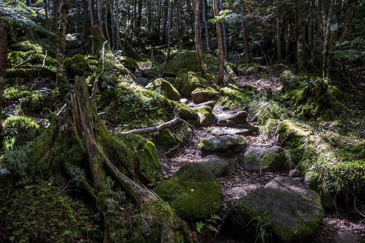 f:id:JKazy:20190927222621j:plain f:id:JKazy:20190927222621j:plain