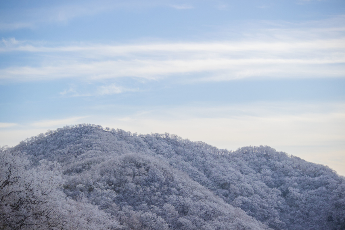 f:id:JKazy:20191216131315j:plain