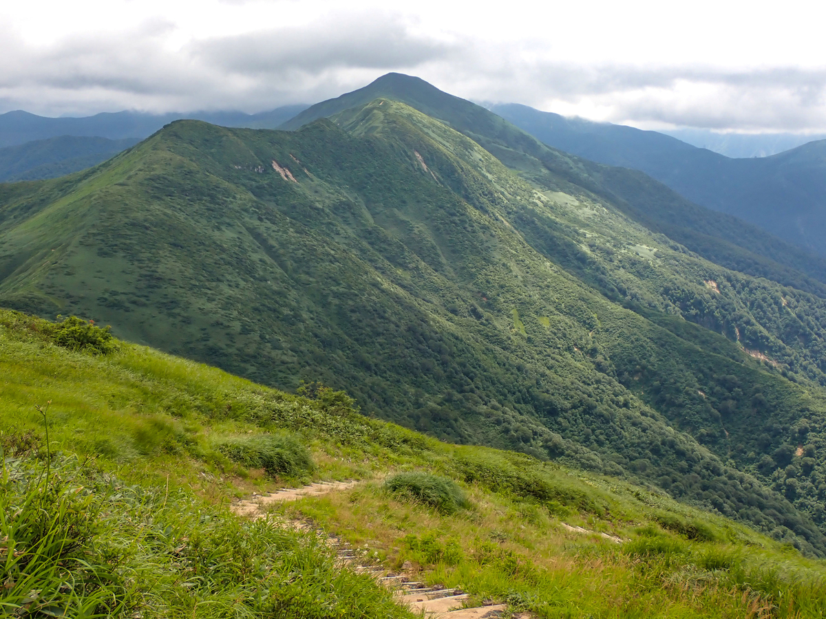 f:id:JKazy:20210807223417j:plain