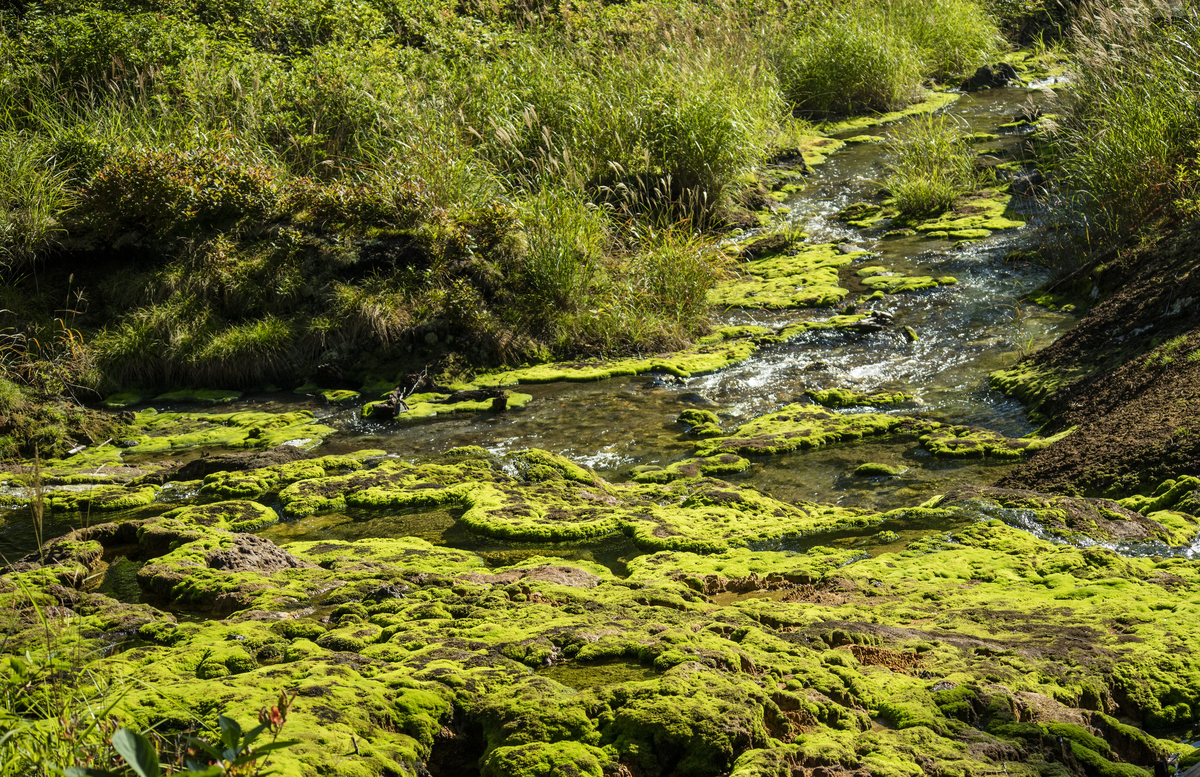 f:id:JKazy:20210829093736j:plain