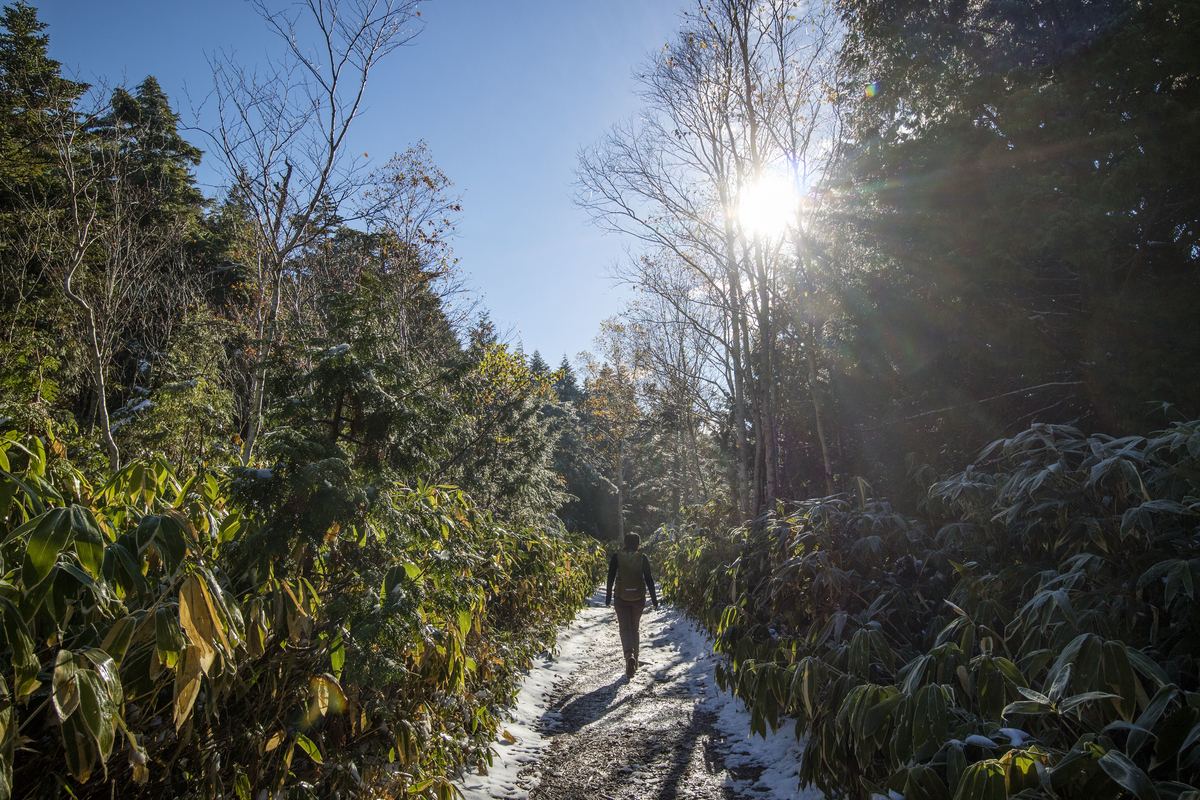 f:id:JKazy:20211023152302j:plain