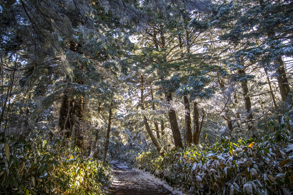 f:id:JKazy:20211023152329j:plain