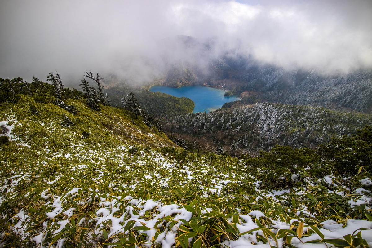 f:id:JKazy:20211023152733j:plain