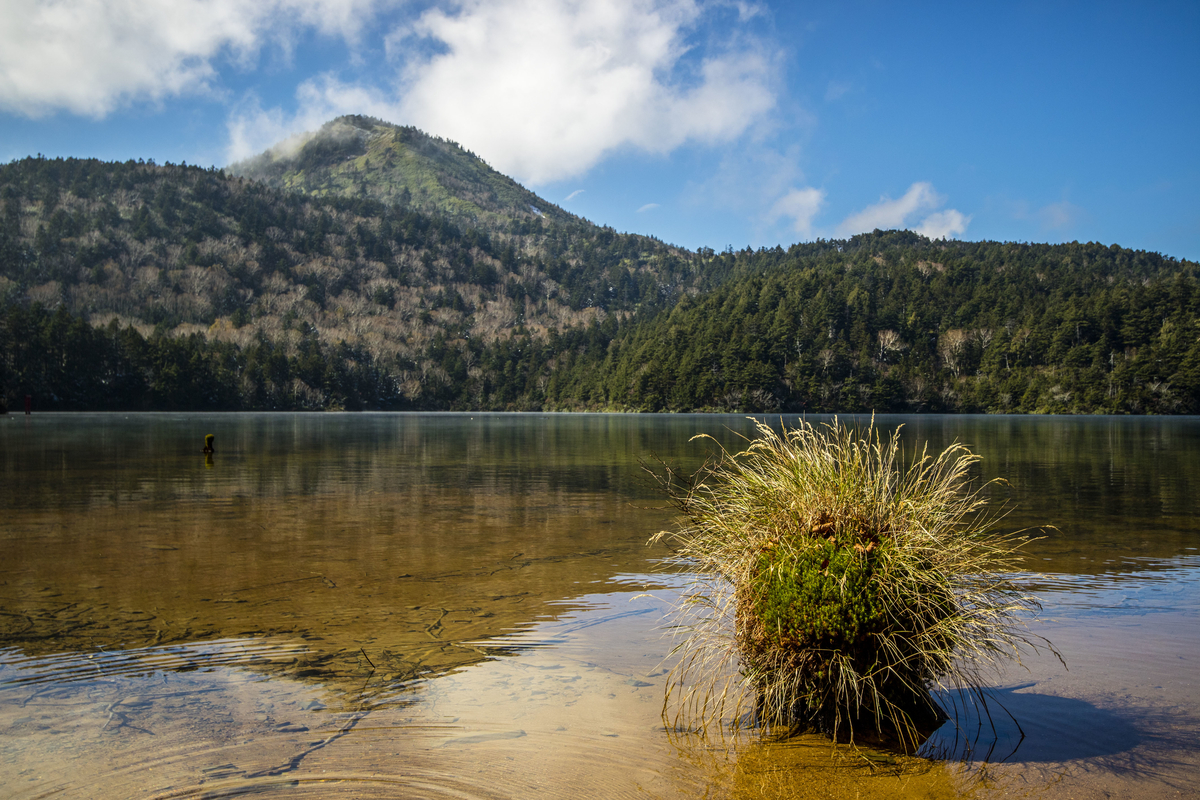 f:id:JKazy:20211023152936j:plain