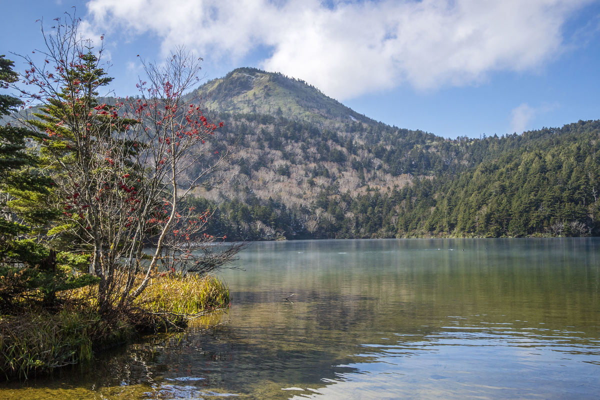 f:id:JKazy:20211023152955j:plain