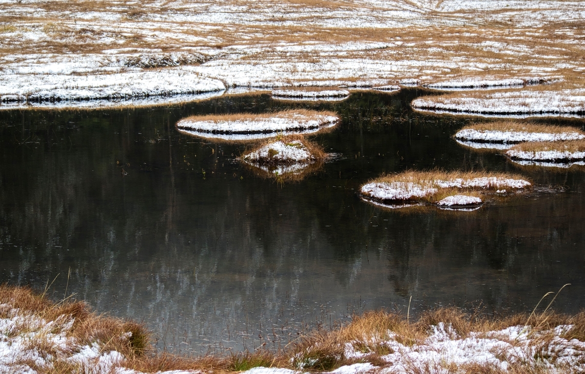 f:id:JKazy:20211023153017j:plain